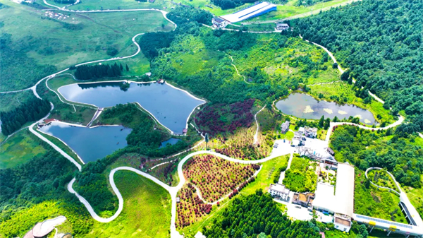 贵州贵阳：“避暑之都”的旅居生意经(图1)