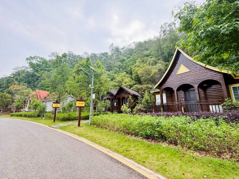 贵州凤冈:入选中医茶疗康养旅居星级目的地榜单(图1)